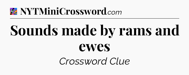 Sounds made by rams and ewes Crossword Clue