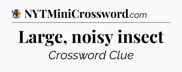 Large, noisy insect Crossword Clue