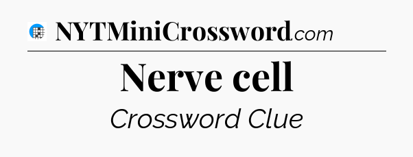 Nerve cell Crossword Clue