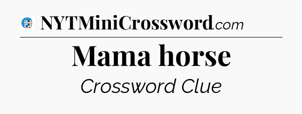 Mama horse Crossword Clue