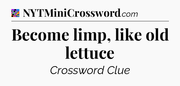 Become limp, like old lettuce Crossword Clue