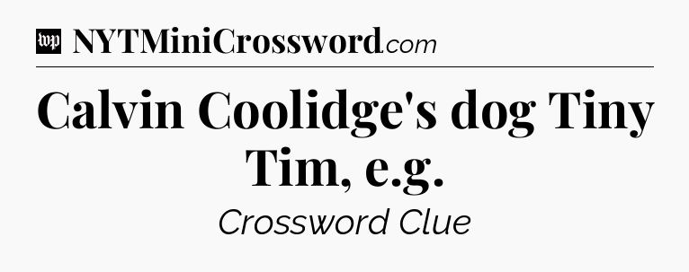 Calvin Coolidge's dog Tiny Tim, e.g Crossword Clue