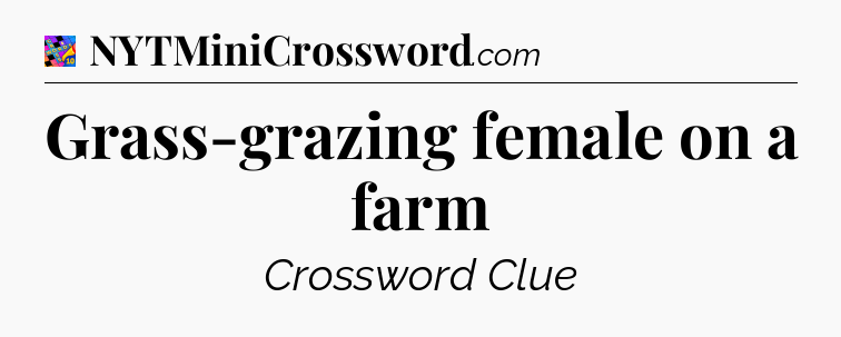 Grass-grazing female on a farm Crossword Clue