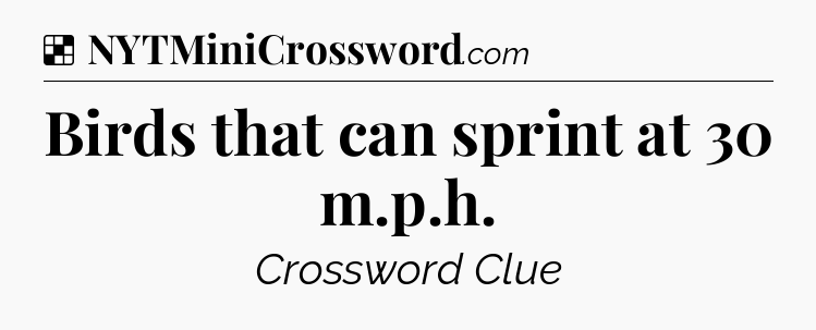 Solution: Birds that can sprint at 30 m.p.h - NYT Crossword