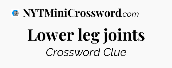 Lower leg joints Crossword Clue