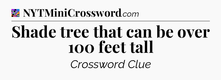 Shade tree that can be over 100 feet tall Crossword Clue