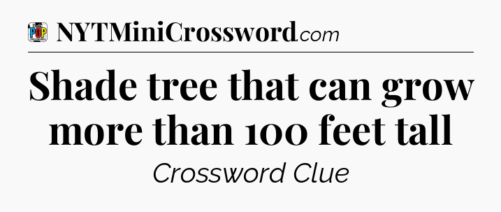 Shade tree that can grow more than 100 feet tall Crossword Clue