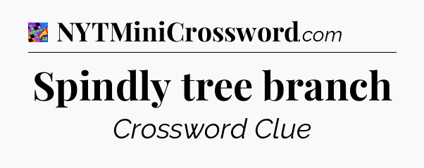 Spindly tree branch Crossword Clue