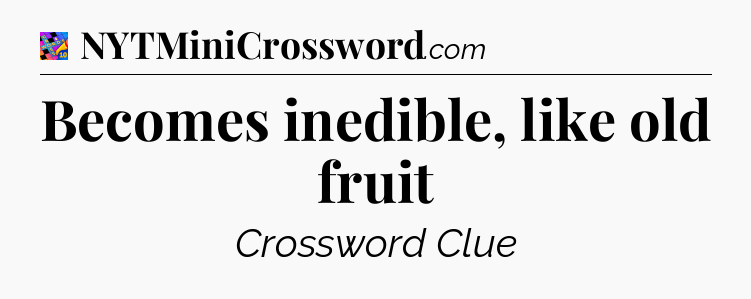 Becomes inedible, like old fruit Crossword Clue