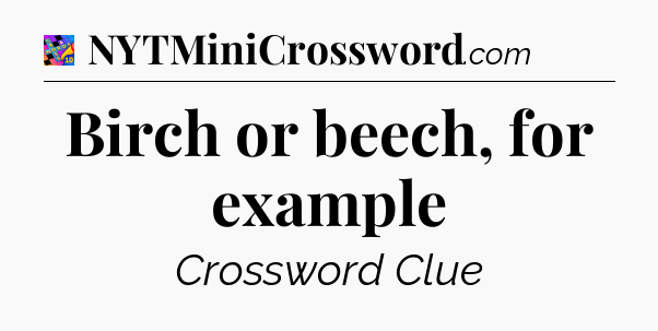 Birch or beech, for example Crossword Clue