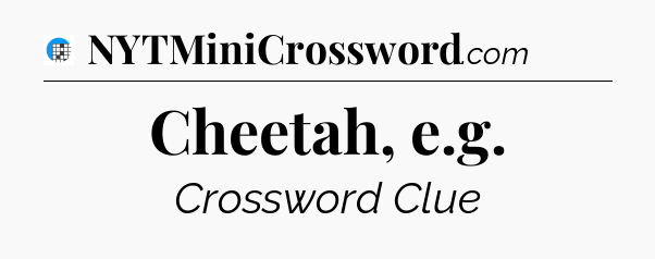 Cheetah, e.g Crossword Clue