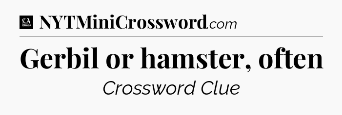 Gerbil or hamster, often - LA Times Crossword