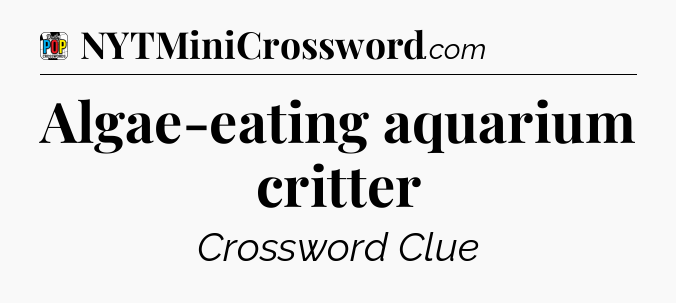 Algae-eating aquarium critter Crossword Clue