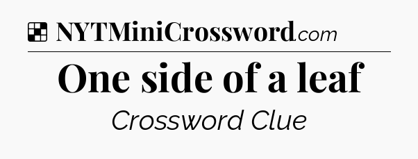 Solution: One side of a leaf - NYT Crossword
