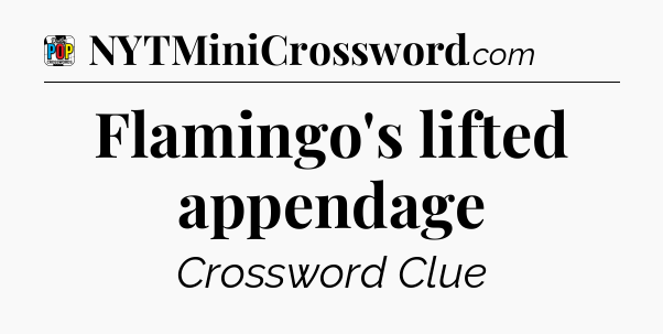 Flamingo's lifted appendage Crossword Clue