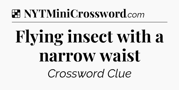 Solution: Flying insect with a narrow waist - NYT Crossword
