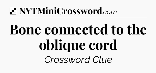 Solution: Bone connected to the oblique cord - NYT Crossword