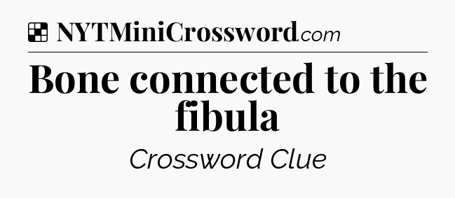 Solution: Bone connected to the fibula - NYT Crossword