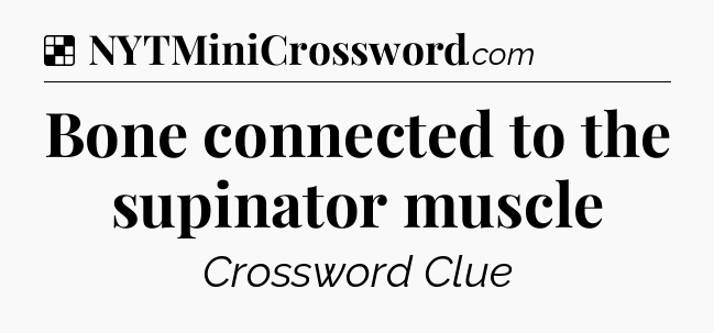 Solution: Bone connected to the supinator muscle - NYT Crossword