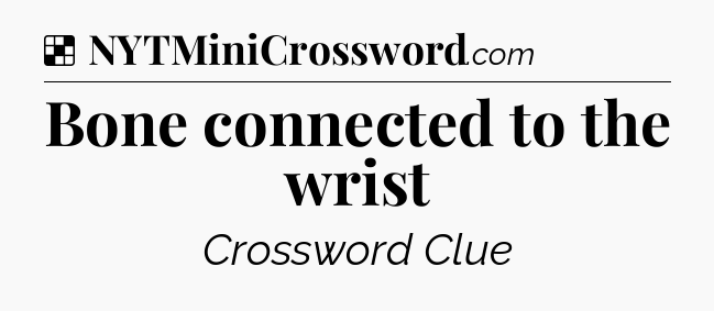 Solution: Bone connected to the wrist - NYT Crossword