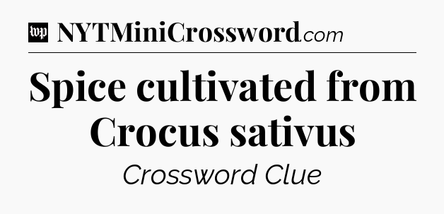 Spice cultivated from Crocus sativus Crossword Clue
