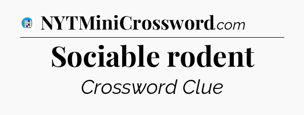 Sociable rodent Crossword Clue