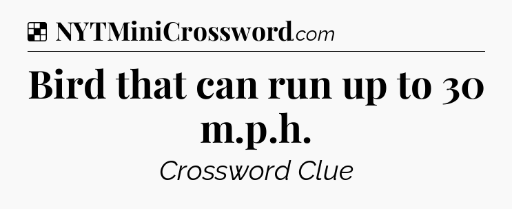 Solution: Bird that can run up to 30 m.p.h - NYT Crossword