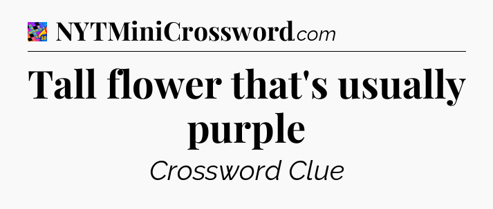 Tall flower that's usually purple Crossword Clue