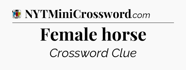 Female horse Crossword Clue