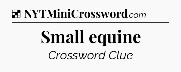 Solution: Small equine - NYT Crossword