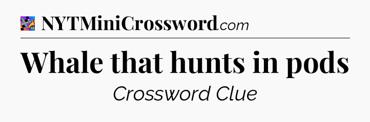 Whale that hunts in pods Crossword Clue