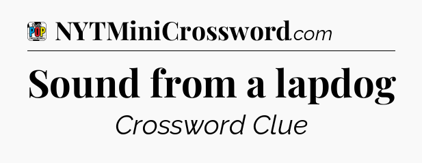 Sound from a lapdog Crossword Clue