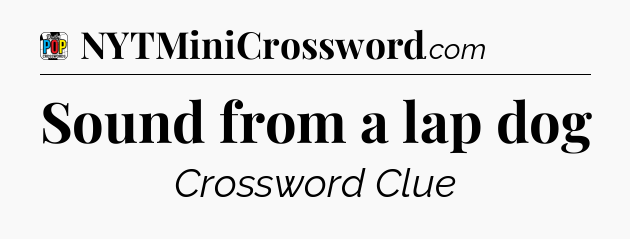 Sound from a lap dog Crossword Clue