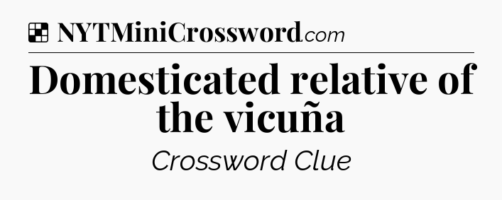 Solution: Domesticated relative of the vicuña - NYT Crossword