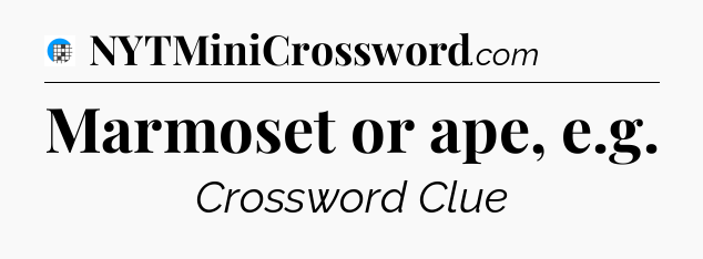 Marmoset or ape, e.g Crossword Clue