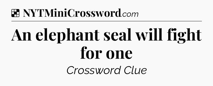 Solution: An elephant seal will fight for one - NYT Crossword