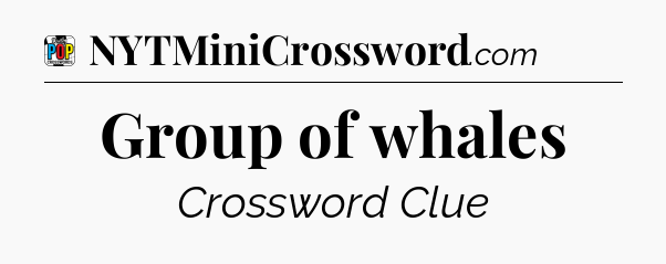 Group of whales Crossword Clue