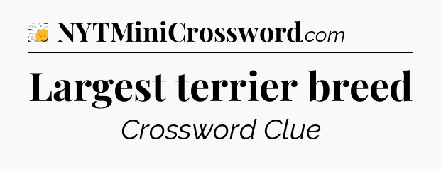 Largest terrier breed - 7 Little Words