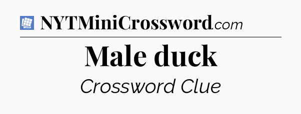 Male duck Puzzle Page Crossword Clue