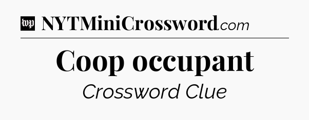 Coop occupant Crossword Clue