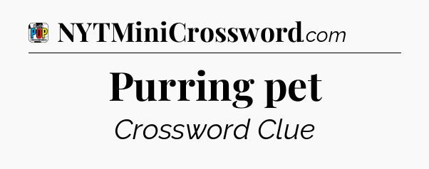 Purring pet Crossword Clue