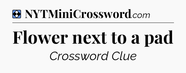 Solution: Flower next to a pad - NYT Mini Crossword