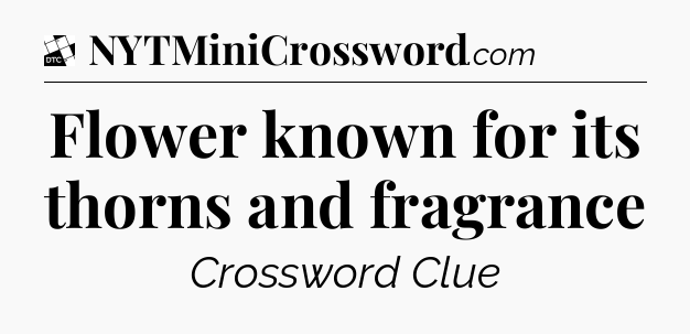 Flower known for its thorns and fragrance - Daily Themed Classic Crossword