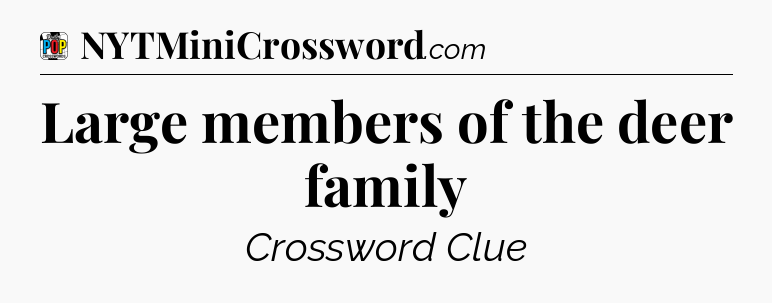 Large members of the deer family Crossword Clue