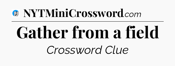 Gather from a field Crossword Clue