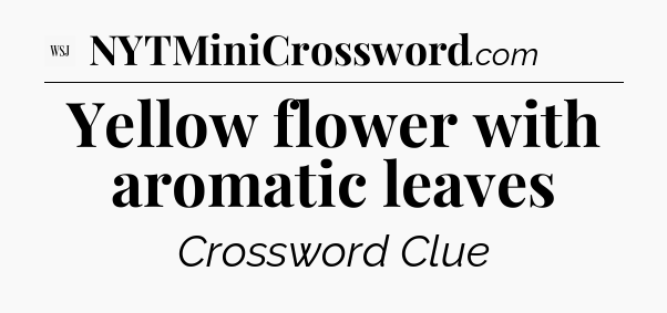 Yellow flower with aromatic leaves - WSJ Crossword