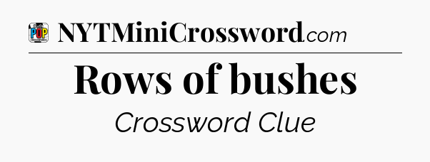 Rows of bushes Crossword Clue