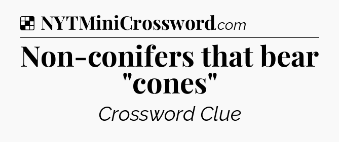 Solution: Non-conifers that bear 