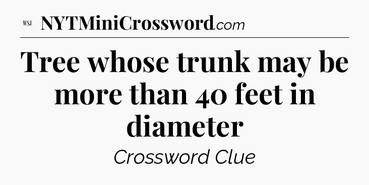Tree whose trunk may be more than 40 feet in diameter - WSJ Crossword