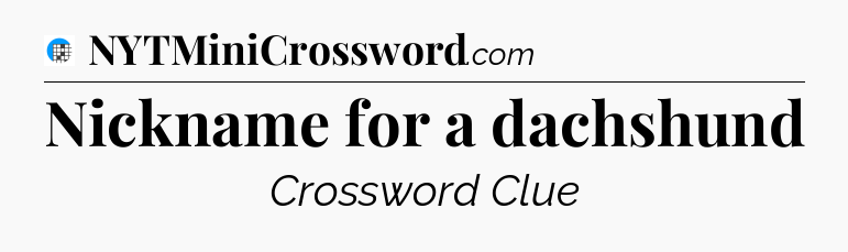 Nickname for a dachshund Crossword Clue